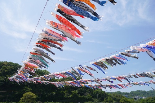 端午の節句の思い出・記念撮影